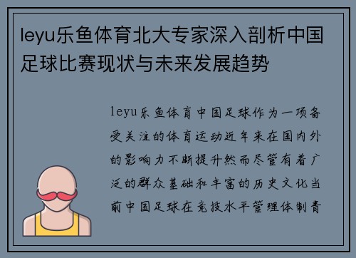 leyu乐鱼体育北大专家深入剖析中国足球比赛现状与未来发展趋势